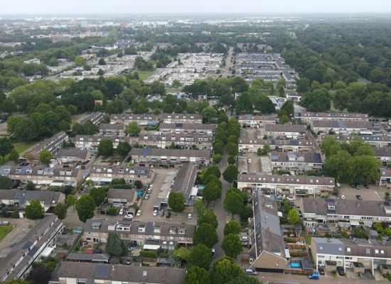 Stemmen in een tijd van verdeeldheid